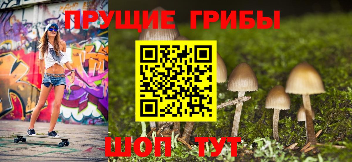 Курчатов  Галлюциногенные грибы прущие грибы  Вход с VPN 