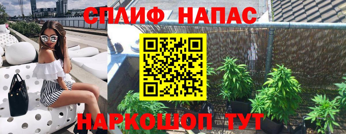 Бошки марихуана сатива Курчатов